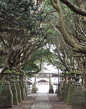 酒列磯前神社(椿の参道)